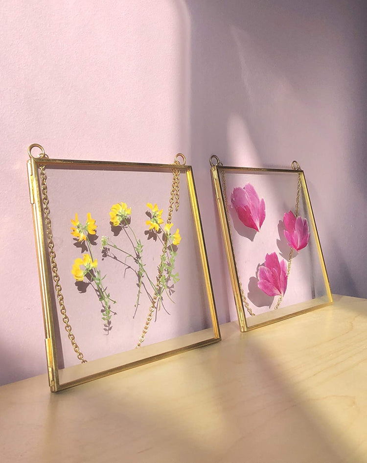 Hanging Double Glass Frames | Square Floating Picture Frame | Set of 2