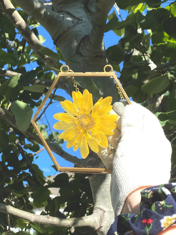Hanging Double Glass Frames | Small Geometric Floating Glass Frames | Set of 3 or 4