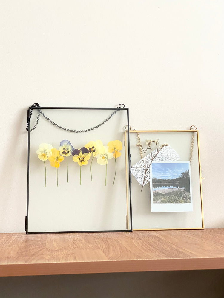 Hanging Double Glass Frames | Large Rectangular Tempered Glass Floating Picture Frames | Set of 2