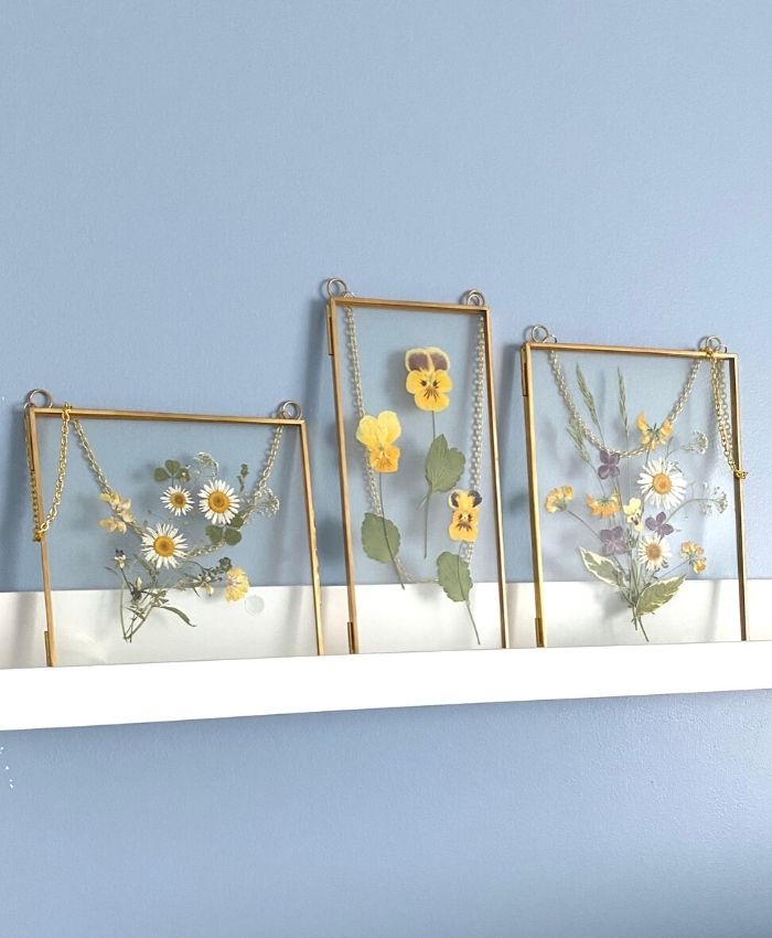Hanging Double Glass Frames | Set of 3 Collection - 6x6, 6x8, 4x9